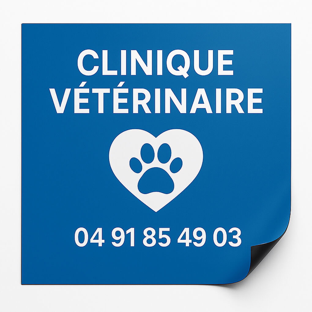 Magnet voiture 60x60cm